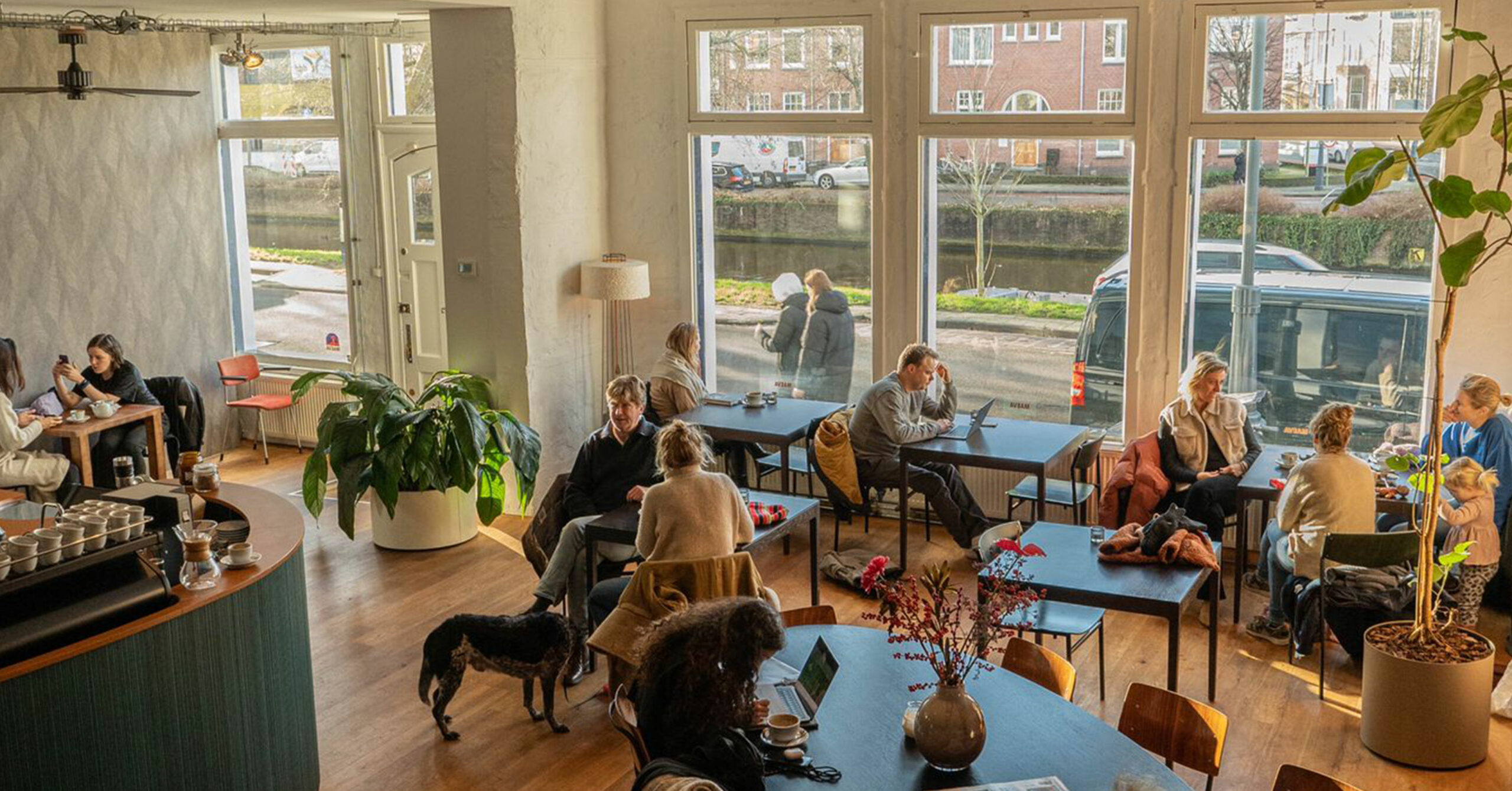 Raamvest 5 Haarlem