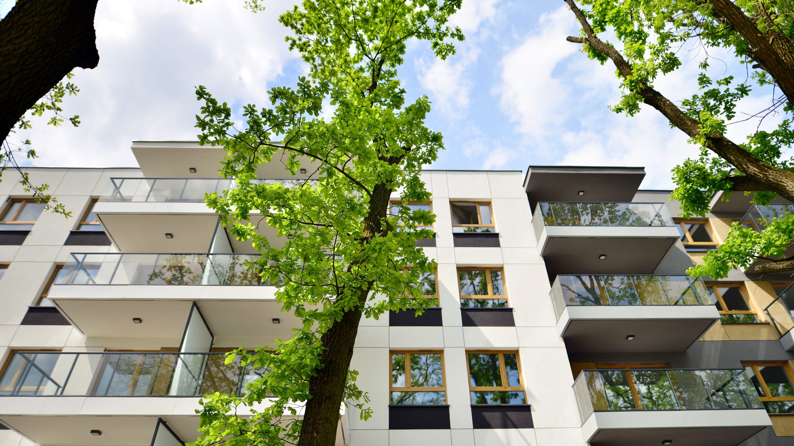 Eco,Architecture.,Green,Tree,And,New,Apartment,Building.,The,Harmony